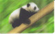 Carte Collector Animée Animaux (Cora / Match) : 6/44  : Panda - Andere & Zonder Classificatie