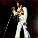 Delcampe - ELVIS  PRESLEY    °°   ELVIS  IN CONCERT   ALBUM  DOUBLE - Autres - Musique Anglaise