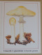 Petit Calendrier De Poche 1989 Champignon  Limacelle à Gouttelettes  Pharmacie La Bernerie En Tetz Loire Atlantique - Small : 1981-90