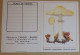 Petit Calendrier De Poche 1989 Champignon  Limacelle à Gouttelettes  Pharmacie La Bernerie En Tetz Loire Atlantique - Small : 1981-90