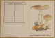 Petit Calendrier De Poche 1989 Champignon Amanite Rougissante - Small : 1981-90