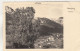 D7379) LEOGANG -840m - Alte FOTO AK - Baum - Blick Auf Häuser U. Kirche - Leogang