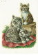 DECALQUES, TRANFERS, DECALCOMANIE Cadox Avec Motif: CHATTE Avec Ses Chatons. N° 7328 - Sonstige & Ohne Zuordnung