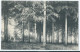 Melle - Institut Caritas - Vue Dans Le Parc - 1909 - Melle