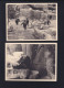 Dt. Reich Lot Photos 1932 Hagenbeck's Tierpark Stellingen - Stellingen