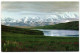 Alaska - Wonder Lake In Mt. McKinley National Park - Catskills