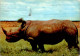 4-11-2023 (1 V 21) Kenya - Posted From Monbasa To France 1952 - Rhinoceros - Rinoceronte