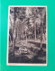 Alte AK Ansichtskarte Postkarte Haslach Baden Württemberg Schwarzwald Birkenwäldchen Deutschland  Allemagne Alt Old - Haslach