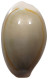 CHINA   Cowry Shell Money #sm02 0641 - Chine