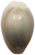 CHINA   Cowry Shell Money #sm02 0625 - Chine