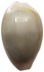 CHINA   Cowry Shell Money #sm02 0631 - Chine