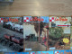 Lot De 12 Revues  LE TRAIN Année 1995 - Literatuur & DVD