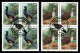 Ref. BR-2535-36-QC BRAZIL 1985 - ENDANGERED BIRDS,MI# 2644-45, POSTMARK 1ST DAY, NH, ANIMALS, FAUNA 8V - Used Stamps