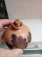 Delcampe - Vase Ancien En Terre Cuite Hauteur 10 Cm Diamètre 9 Cm - Vases
