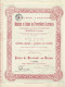 Titre De 1898 - Société Anonyme Des Minières Et Usines De Pierrevillers - Lorraine - Déco - - Mines