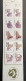 SOUTH AFRICA 1998 - 01 - 26  - NEUF**/MNH - Booklet Carnet Markenheftchen 2 X Mi 1117 / 1121 - Postzegelboekjes