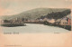 BELGIQUE - Yvoir - Sur La Rive De La Meuse - Colorisé - Carte Postale Ancienne - Yvoir