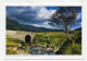 AK 177063 IRELAND - Steinbrücke Am Ring Of Beara - Cork