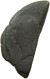 CELTIC AE 1/2 DUPONDIUS  VIENNA VIENNE CAESAR 1/2 DUPONDIUS 6.3G #t125 0459 - Keltische Münzen