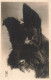 ANIMAUX - Chien Noir - LC Paris - Carte Postale Ancienne - Chiens