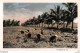 Delcampe - VIET-NAM - LOT DE 3 CARTES PHOTOS ET 1 CPSM SUR LA CULTURE DU RIZ DANS LE NORD VIET-NAM - BEAUX PLANS - Vietnam