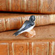 Feve Ancienne 1ère Epoque Allemande Hirondelle 22 X 25 Mm Biscuit Polychrome Oiseau Miniature - Anciennes