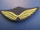 Insigne De Casquette D'aviateur D'époque/ 2 Ailes étendues/ Avec 2 Fixations Au Verso:/ Vers 1980- 1990      CCK34 - Airforce
