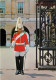 Postcard United Kingdom  England London Whitehall Sentry At Horse Guards - Whitehall