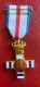 España Medalla Juan Carlos I - Distintivo Blanco Pensionado - Other & Unclassified