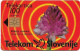 Slovenia - Telekom Slovenije - Flowers - Rdeča Murka, Gem2 Black, 08.1998, 100U, 31.457ex, Used - Slovenia