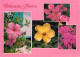 Postcard Bahamas Flowers - Bahama's