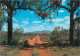 Postcard West Australia Docker River Peterman Ranges - Autres & Non Classés