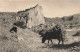 FRANCE - Chambon - Rocher Du Saut De La Pucelle - Bœufs - Carte Postale - Le Chambon-sur-Lignon