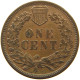 UNITED STATES OF AMERICA CENT 1896 INDIAN HEAD #t140 0411 - 1859-1909: Indian Head