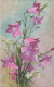 FLEURS PLANTES - Fleurs - Campanule - Violettes - Carte Postale Ancienne - Fleurs