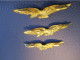 3 Petits Insignes De Calot Anciens / Différents/ Aviation / Vers 1970-1990                        INS164 - Forze Aeree