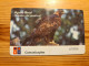 Phonecard Portugal - Bird, Eagle 30.000 Ex. - Portugal