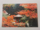China, Stamped Postcard Beijing - Maximumkaarten
