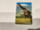 Tanzania-(TAZ-TT-01B)-giraffe-(5)-(150units)-(number Left Side Up)-(00139712)-used Card+1card Prepiad/gift Free - Tanzania