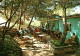 19707  KIBBUTZ BEIT OREN  THE CAFETARIA  ( 2 Scans) - Israel