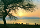 19709 SUNRISE ON THE DEAD SEA   ( 2 Scans) - Israel