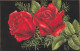 FLEURS, PLANTES ARBRES - Fleurs - Roses Rouges - Carte Postale Ancienne - Bloemen