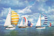 TRANSPORT - Bateaux - Sea, Sky And Sail - These Yachts Known As Solent Butterflies - Carte Postale - Zeilboten