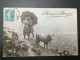 Marque Postale Brussel Bruxelles    Année 1912 - Poste