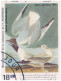 J.J. Audubon's Birds Of The World, Bonaparte's Gull, Tanager, Neotropical Birds, Bird, Animal, Mauritania FDC - Seagulls