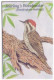 J.J. Audubon's Birds Of The World, Woodpecker, Seed Cracker, Bee Eater, Ground Dove, Birds, Bird, Animal, Malawi FDC - Meeuwen