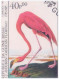 J.J. Audubon's Birds Of The World, Flamingo, Blue Heron, Brown Pelican, Golden Crowned, Birds, Bird, Animal, Guinea FDC - Flamingo's