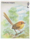 Small Birds, Orange Crowned Fairywren, Superb Pitta, Slaty Headed Longbill, Birds, Bird, Animal, New Guinea FDC - Passeri