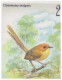 Small Birds, Orange Crowned Fairywren, Superb Pitta, Slaty Headed Longbill, Birds, Bird, Animal, New Guinea FDC - Sparrows