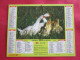 CALENDRIER ALMANACH 1993 OIES ET OISONS CHEVRAUX LAVIGNE - Tamaño Grande : 1991-00